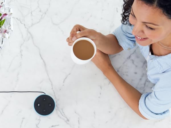 Voice assistant and smart home control of the Wi-Fi 7-Day Programmable Thermostat