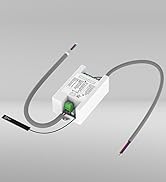 Blütezeit WiFi Module for MS Series Swing Gate Openers – eWeLink App Control, Alexa/Google/Siri C...