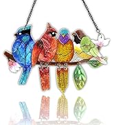 DASTOLL Stained Glass Window Hanging - Hummingbird on Branch Suncatcher Hand-Painted Double Side ...