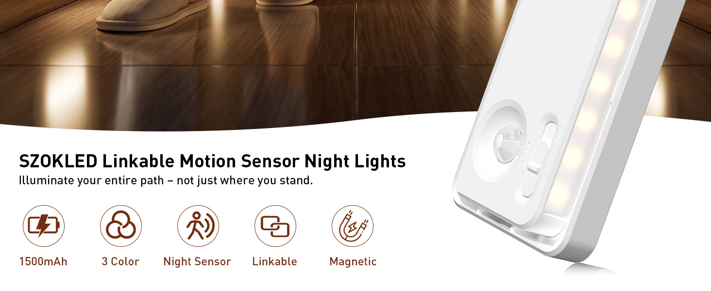 motion sensor light