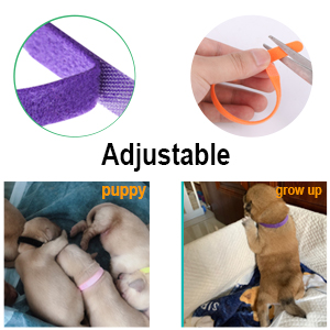Adjustable