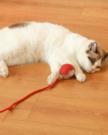 A white and brown cat lying on a wooden floor playing with a red interactive toy ball.