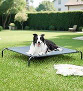 Elevated Dog Bed