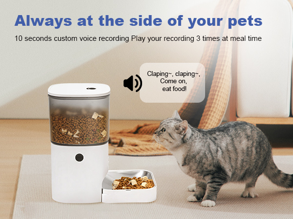 automatic cat feeder with voice call
