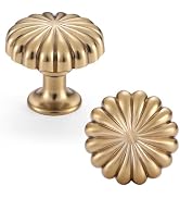 FAPUAL Champagne Bronze Cabinet Knobs,10 Pack Drawer Pulls for Dressers | Solid Zinc Alloy,Screws...
