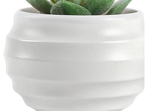 artificial plants
