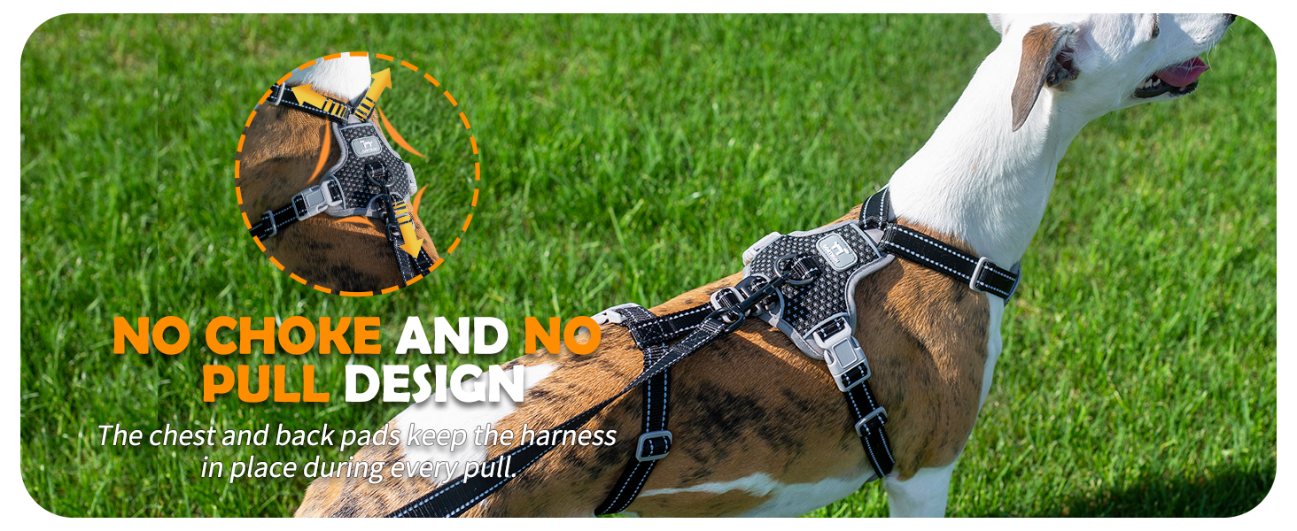 escape proof dog harness