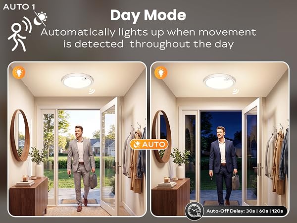 magnetic rechargeable ceiling light