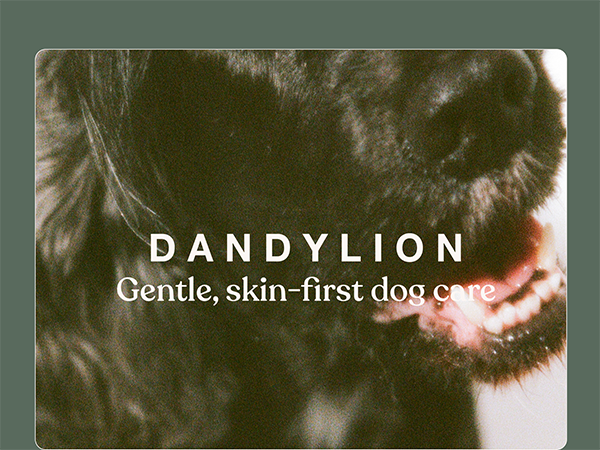 Dandylion: gentle, skin-first dog care