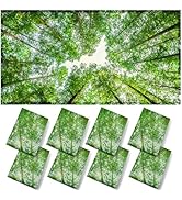ANGSYLTH 8 Pcs Fluorescent Light Covers - 4 x 2 Feet Light Covers for Ceiling Lights Classroom, M...