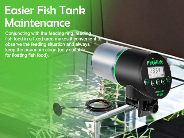 fish rings auto fish food distribution