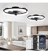 LEDIARY 2 Pack 20" Ceiling Fans with Lights and Remote, Low Profile Ceiling Fan, 3 CCT, Stepless ...