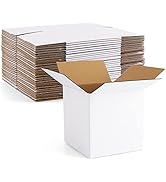 Eupako 4x4x4" Cardboard Box Mailers 25 Pack White Cube Corrugated Small Shipping Boxes for Mailing