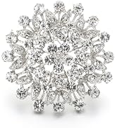 EVER FAITH Women's Austrian Crystal Elegant Flower Leaf Bridal Corsage Brooch Pin