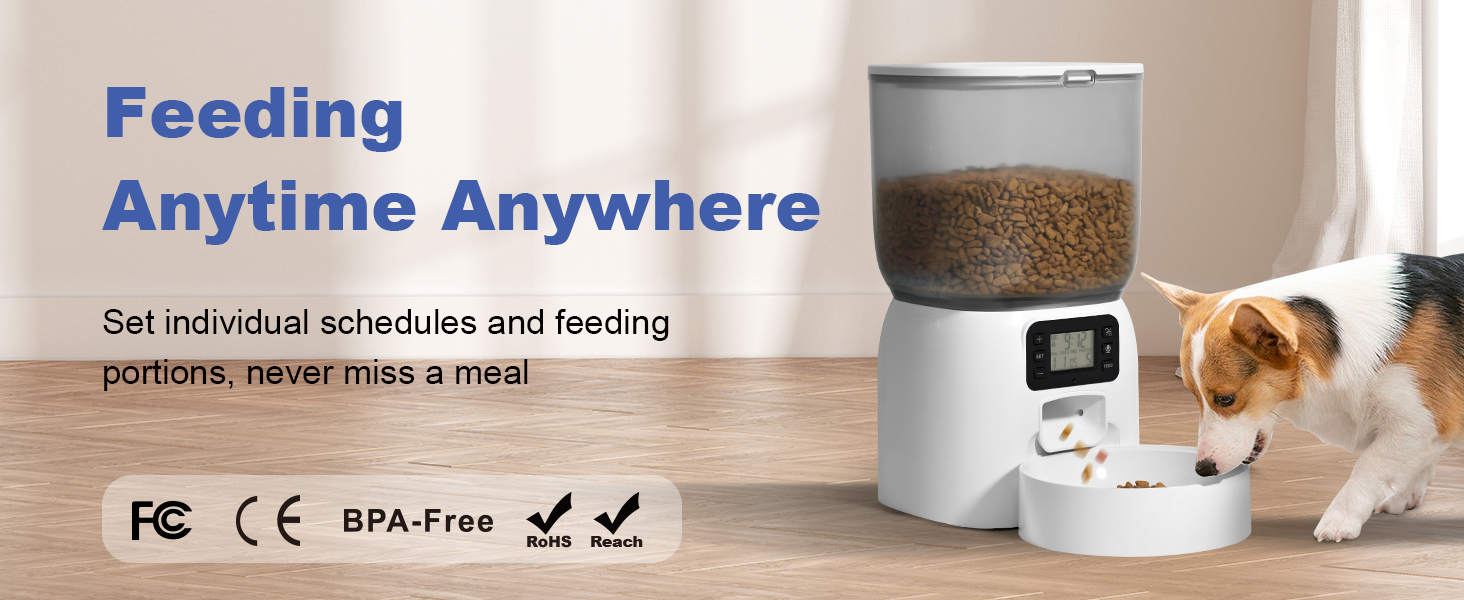 automatic cat feeder