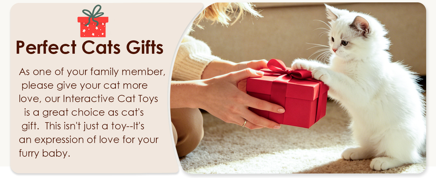 Interactive Cat Toys Rechargeable