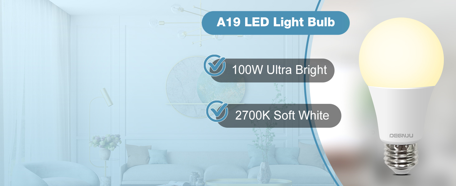 A19 LED Bulbs 100 watt