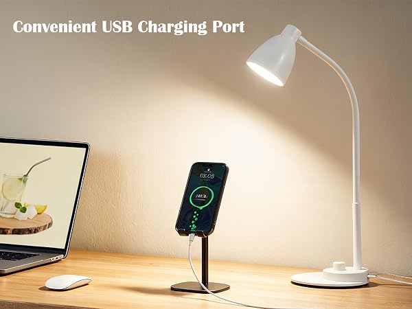 LED Desk Lamp with USB Charging Port Reading Lamp Task Lamp Flexible Table Light for Dorm Bedside