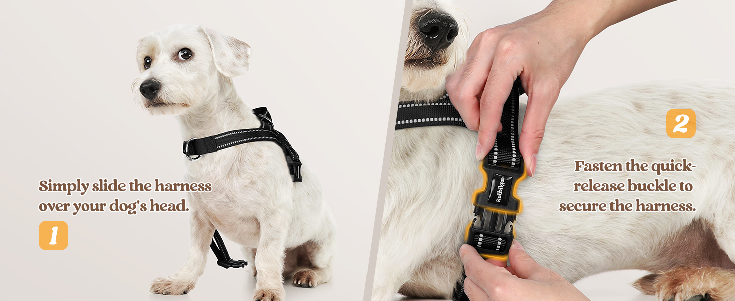 dog harness