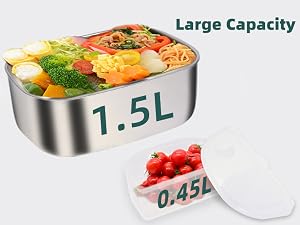 Electric lunch box