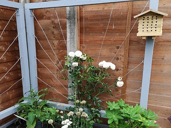 garden wire for climbing plants