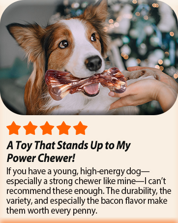 dog chew toys