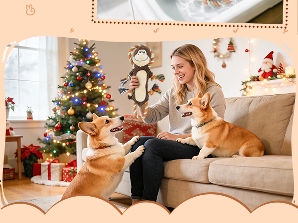 Christmas dog toys gift