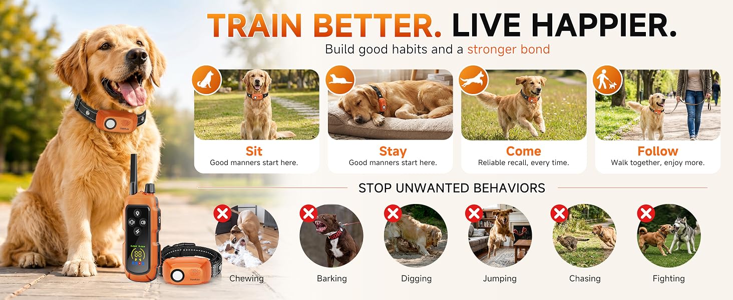 dog shock collar