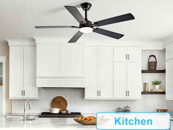 ceiling fan for kitchen