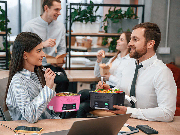 rechargeable lunch box warmer