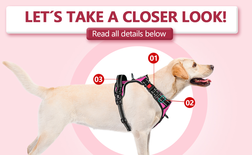 harness