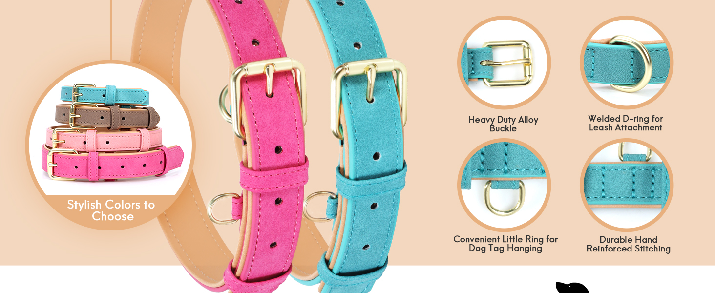 dog collar leather