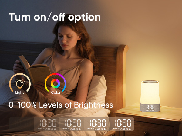Text reads 'Turn on/off option' and '0-100% Levels of Brightness' with circular interface controls shown. Smart lighting control interface display.