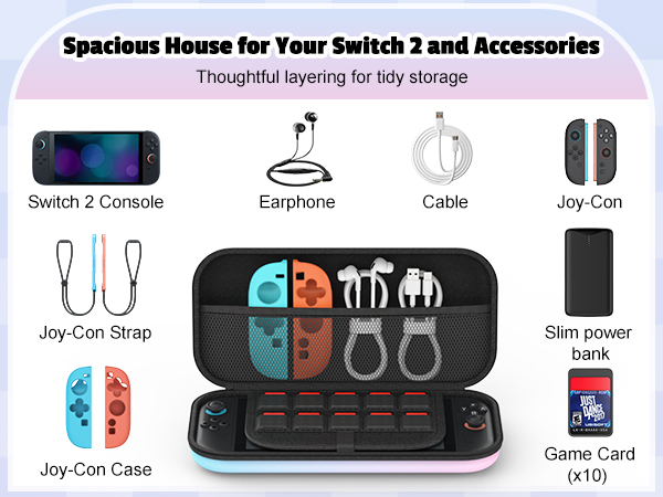 nintendo switch 2 case
