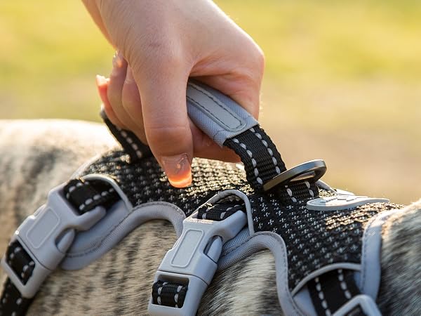 no escape dog harness
