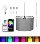 ZSLAIFU 15FT Hanging Lamp with Switch,Gray Hanging Lights with Plug in Cord, Pendant Lamp with Re...