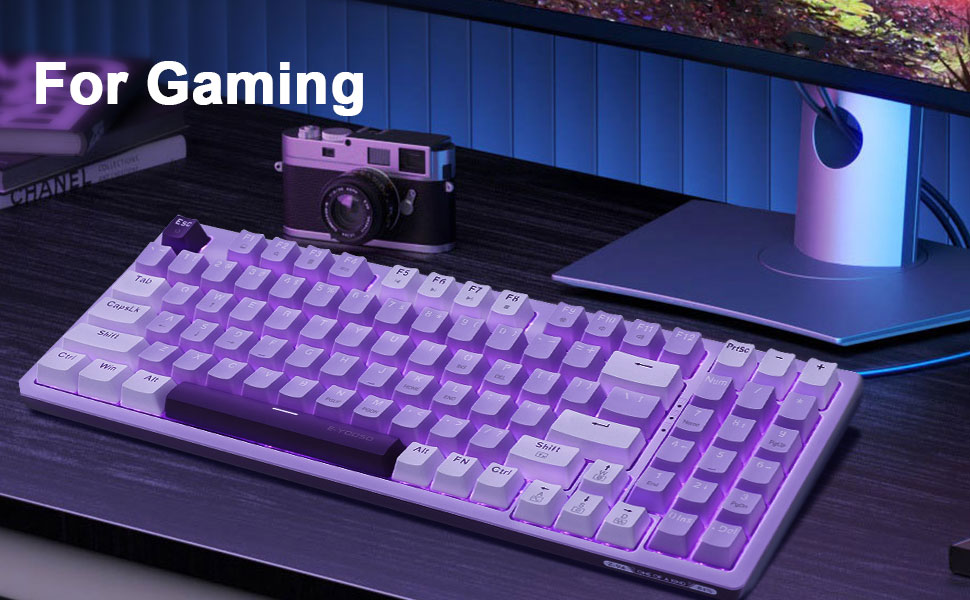 gaming gamer