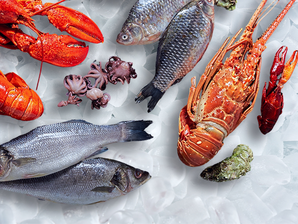 Countertop Ice Maker, Portable Ice Machine Self-Cleaning