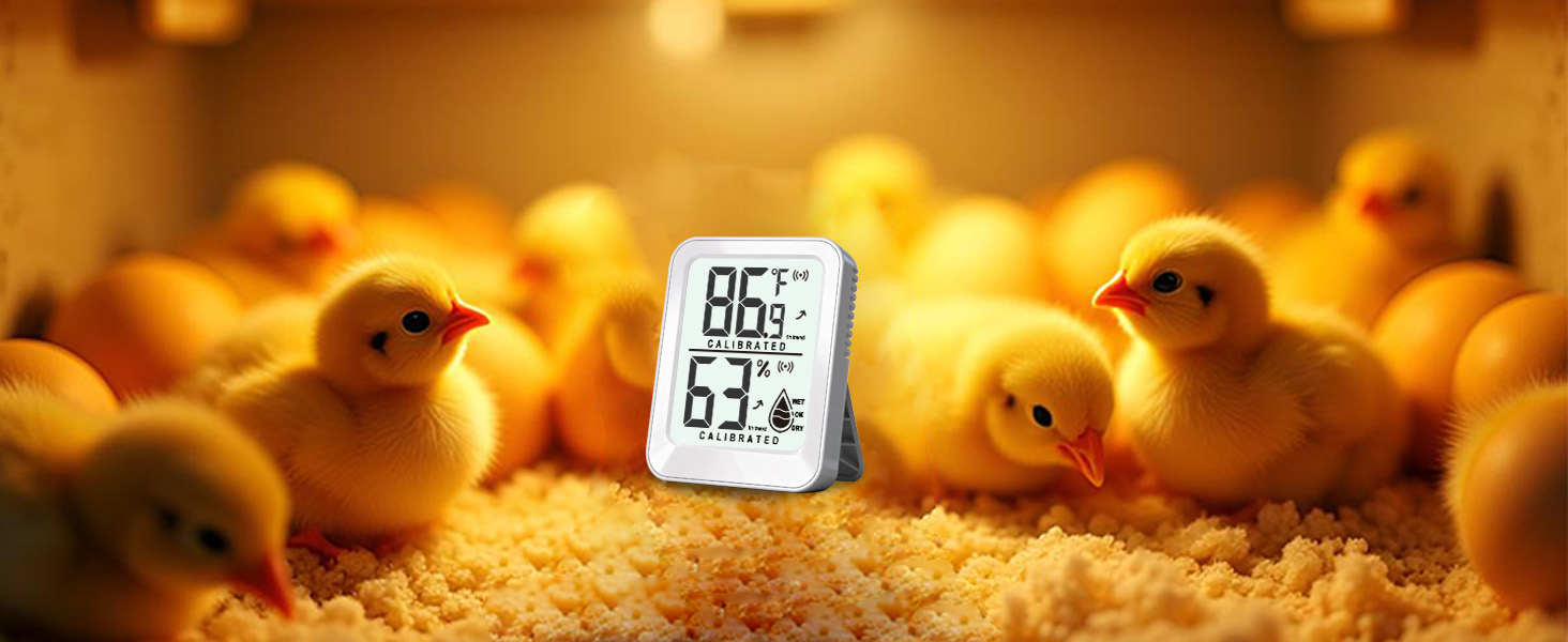 indoor thermometer for room temperature analog