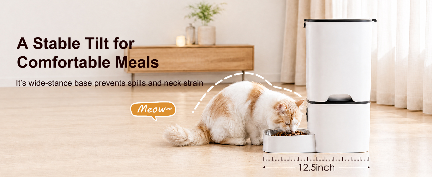 automatic timed cat feeder