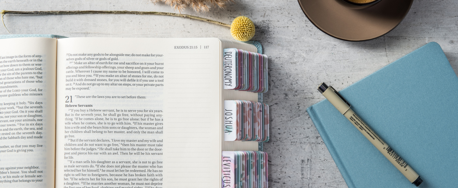 DiverseBee Bible Tabs Uniform