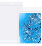 Morepack 6x9 Inches Hanging Hole Self Sealing Cellophane Bags Self Adhesive, 100 Pieces Clear Res...