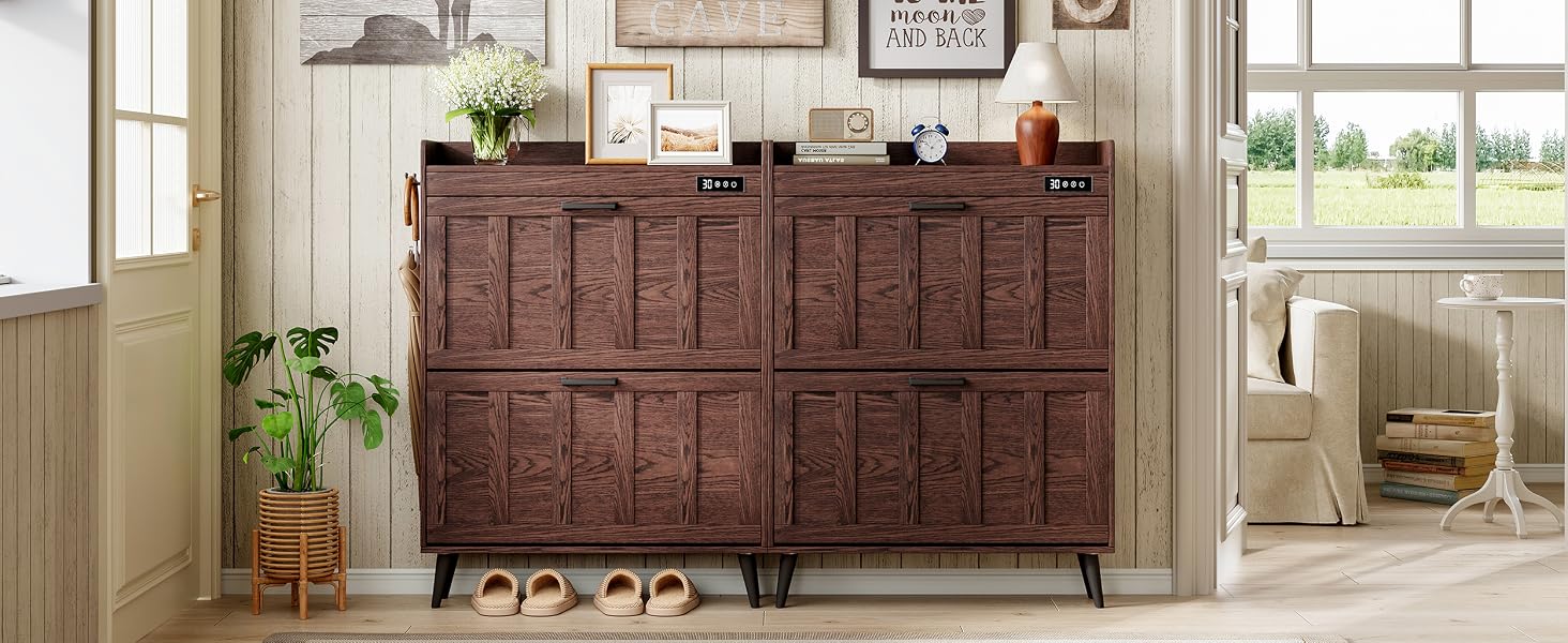 shoe organizer cabinet