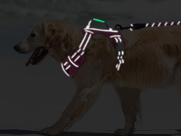 Reflective strips on dog harness for improved visibility at night small large dogs no pull medium