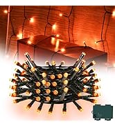 cshare Orange String Lights Battry Operated with Timer Waterproof, Halloween String Lights for Ou...