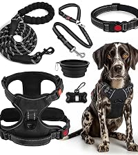 https://m.media-amazon.com/images/S/aplus-media-library-service-media/2648a207-7e9b-45b2-8932-44d897e5adfd.__CR83,0,1334,1501_PT0_SX200_V1___.jpg