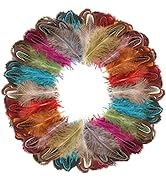 FeelfunFeather 120pcs Mix Colour Natural Pheasant Plumage Feathers 2-3 Inches Pheasant Feathers f...