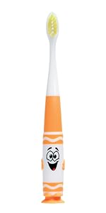 https://m.media-amazon.com/images/S/aplus-media-library-service-media/83e77c6b-39cb-40f9-9f12-c3daa3e80dc9.__CR0,0,300,600_PT0_SX150_V1___.jpg