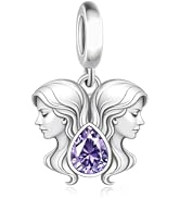 BSFJTY S925 Sterling Silver Waterdrop Birthstone Signs Charms, The Zodiac 12 Constellation Pendan...