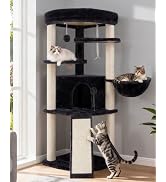 Gitelsnour Corner Cat Tree for Indoor Cats, Cat Tower with All Sisal Scratching Posts, Multi-Leve...
